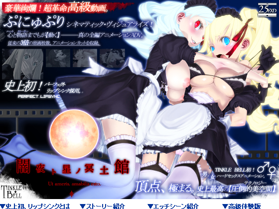 Yamiyo to Hoshi no Maidkan